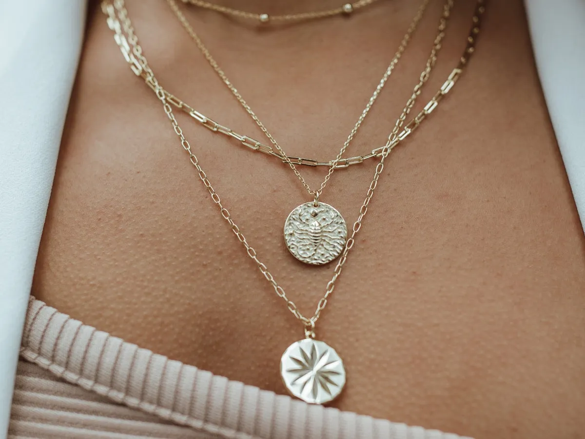 Aries Zodiac Coin Necklace